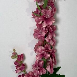 DELFINIJA