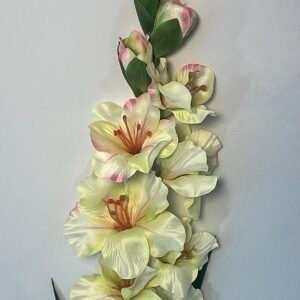 KARDELIAI (110 cm)