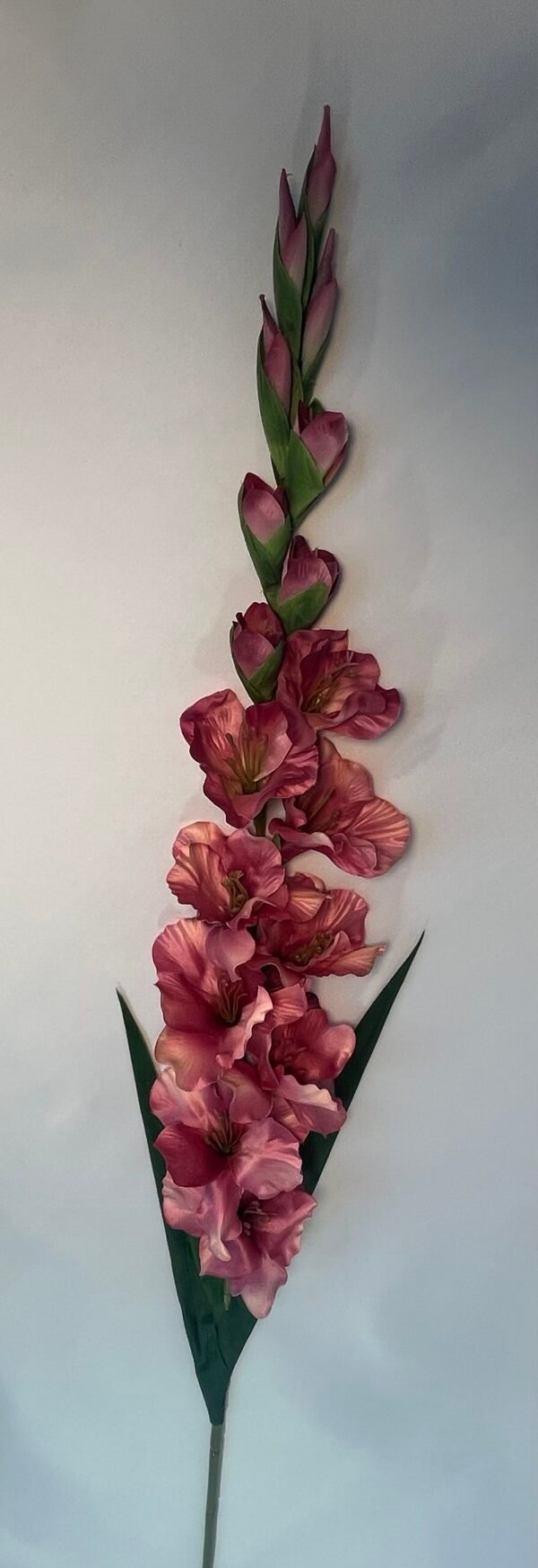 KARDELIAI (110 cm)