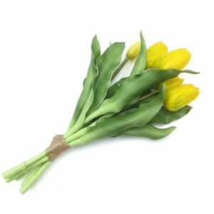 SILIKONINĖS TULPĖS