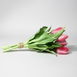 SILIKONINĖS TULPĖS