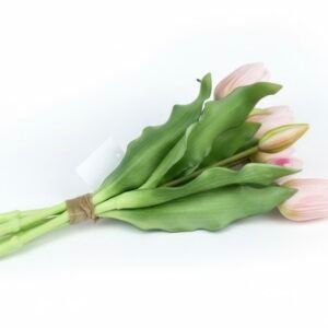 SILIKONINĖS TULPĖS