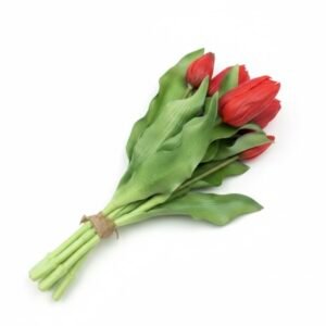 SILIKONINĖS TULPĖS