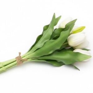 SILIKONINĖS TULPĖS