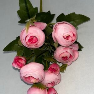 Kamelijų puokštelė