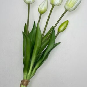 SILIKONINĖS TULPĖS