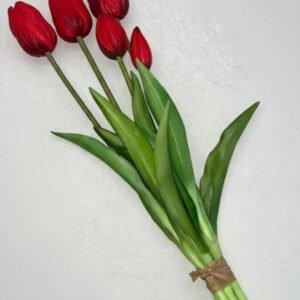 SILIKONINĖS TULPĖS