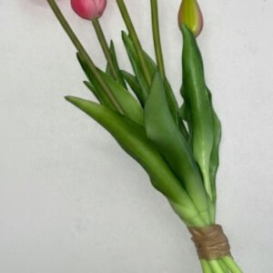 SILIKONINĖS TULPĖS