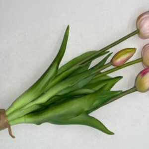 SILIKONINĖS TULPĖS