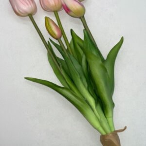 SILIKONINĖS TULPĖS