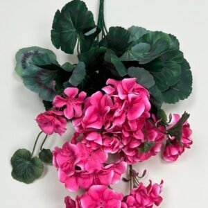 Pelargonija